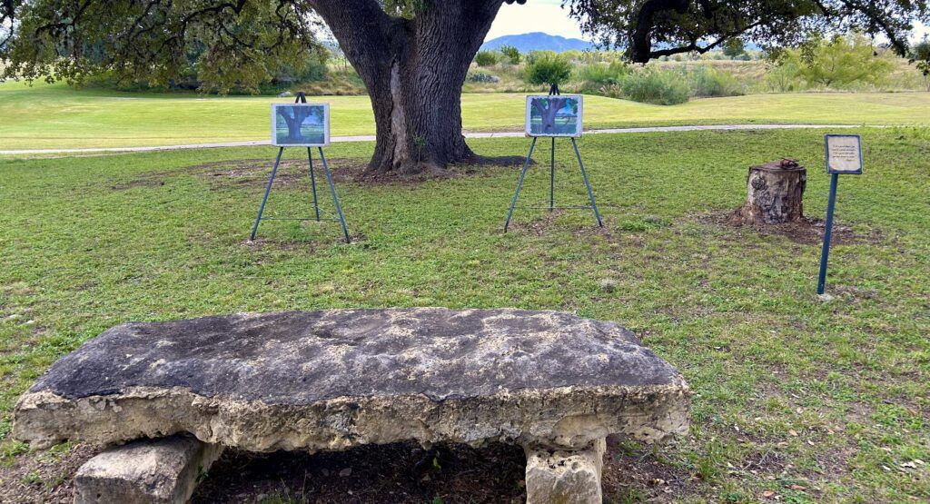 utopia-golf-course-004