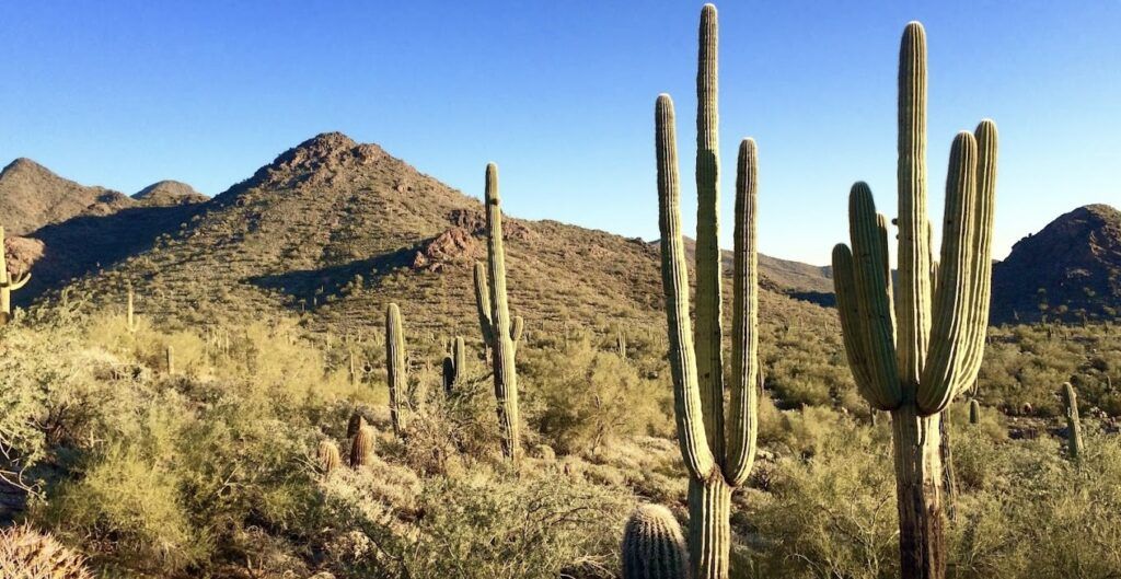 McDowell Sonoran Preserve