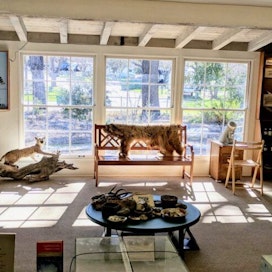 Neal Taylor Nature Center