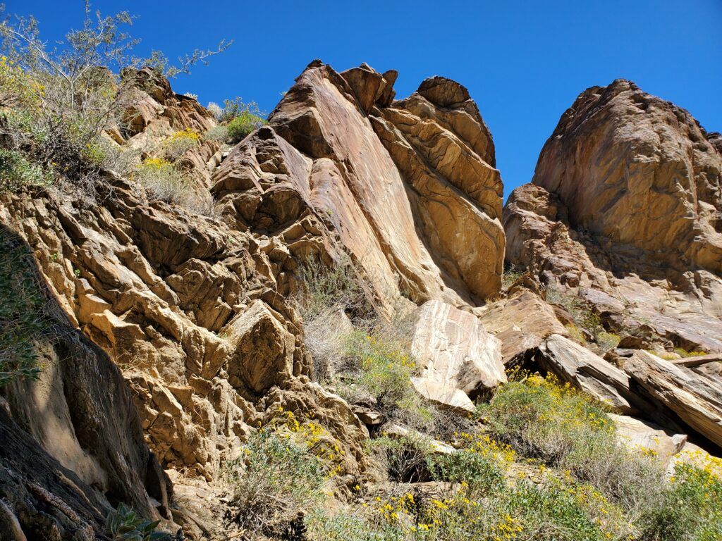 andreas-canyon-trailhead-002