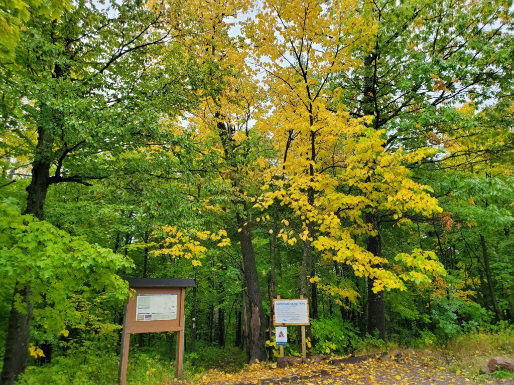 magney-snively-natural-area-002