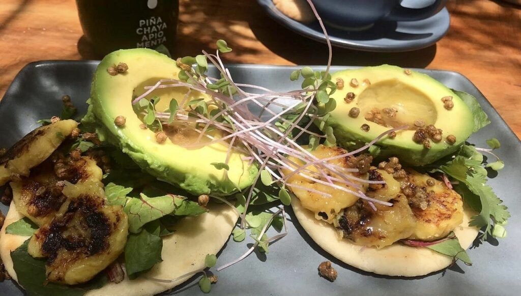 safari-comedor-zama-004