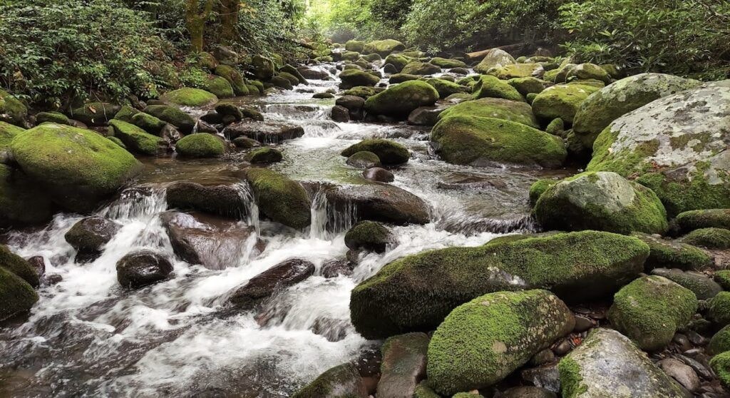 great-smoky-mountains-national-park-003