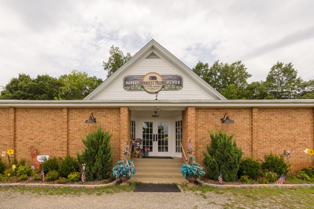 harvest-moon-marketplace-016