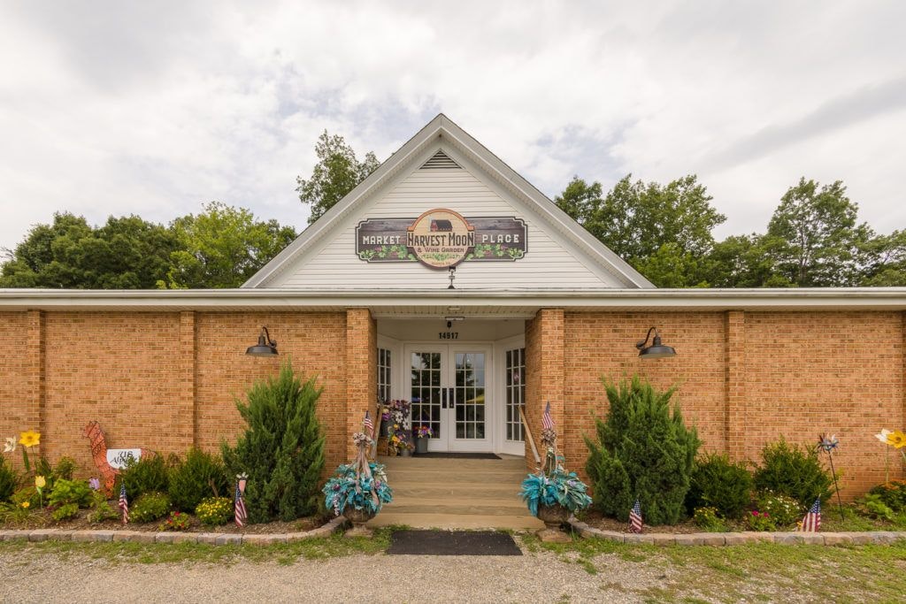 harvest-moon-marketplace-016