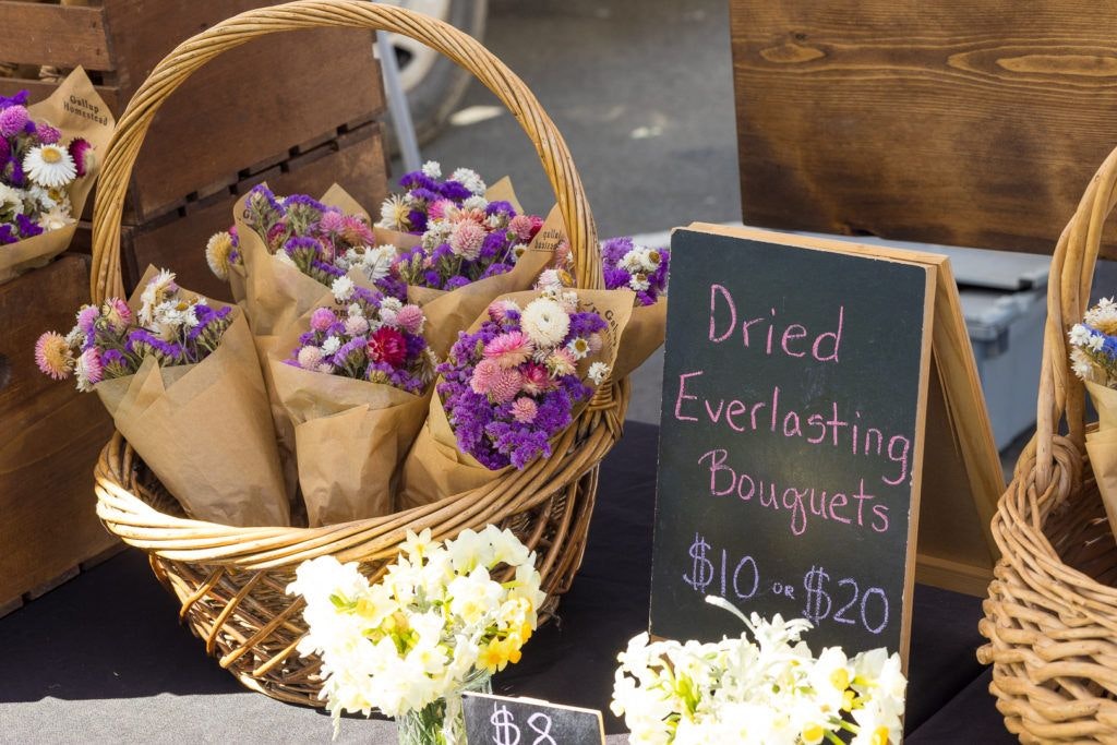 arcata-plaza-farmer-s-market-016