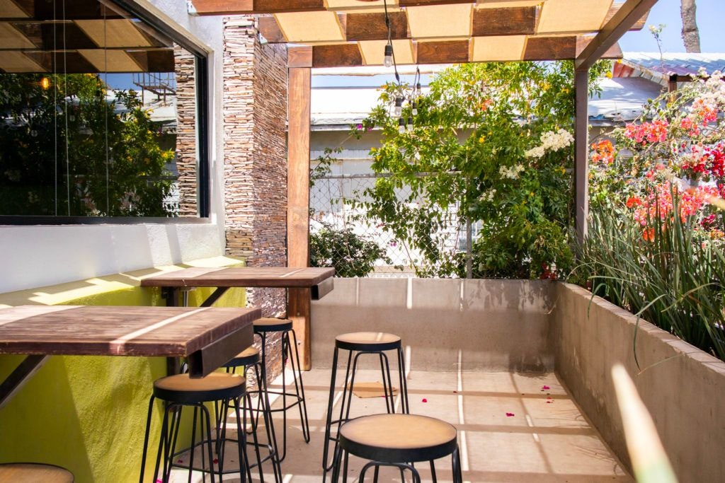 avocato-burrito-republic-cocina-creativa-006