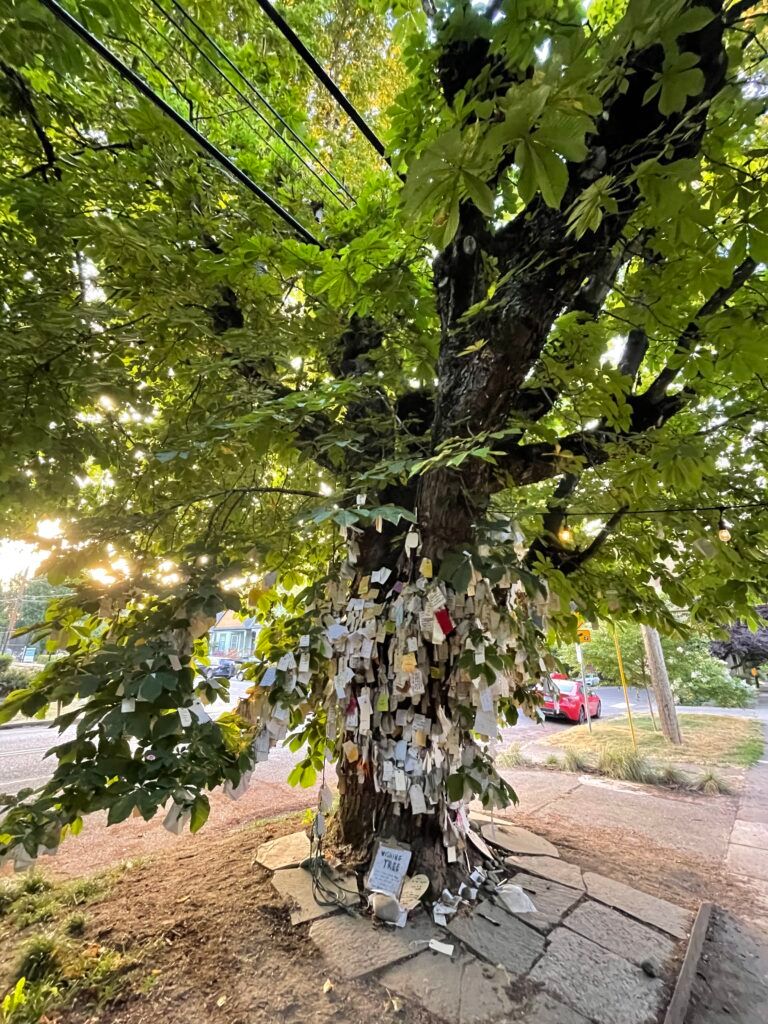 the-wishing-tree-003