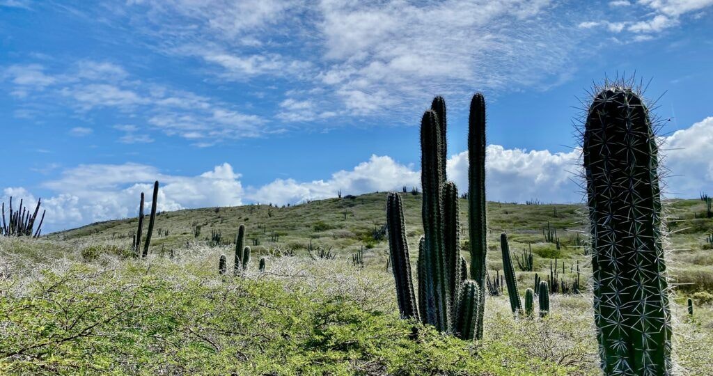 arikok-national-park-003