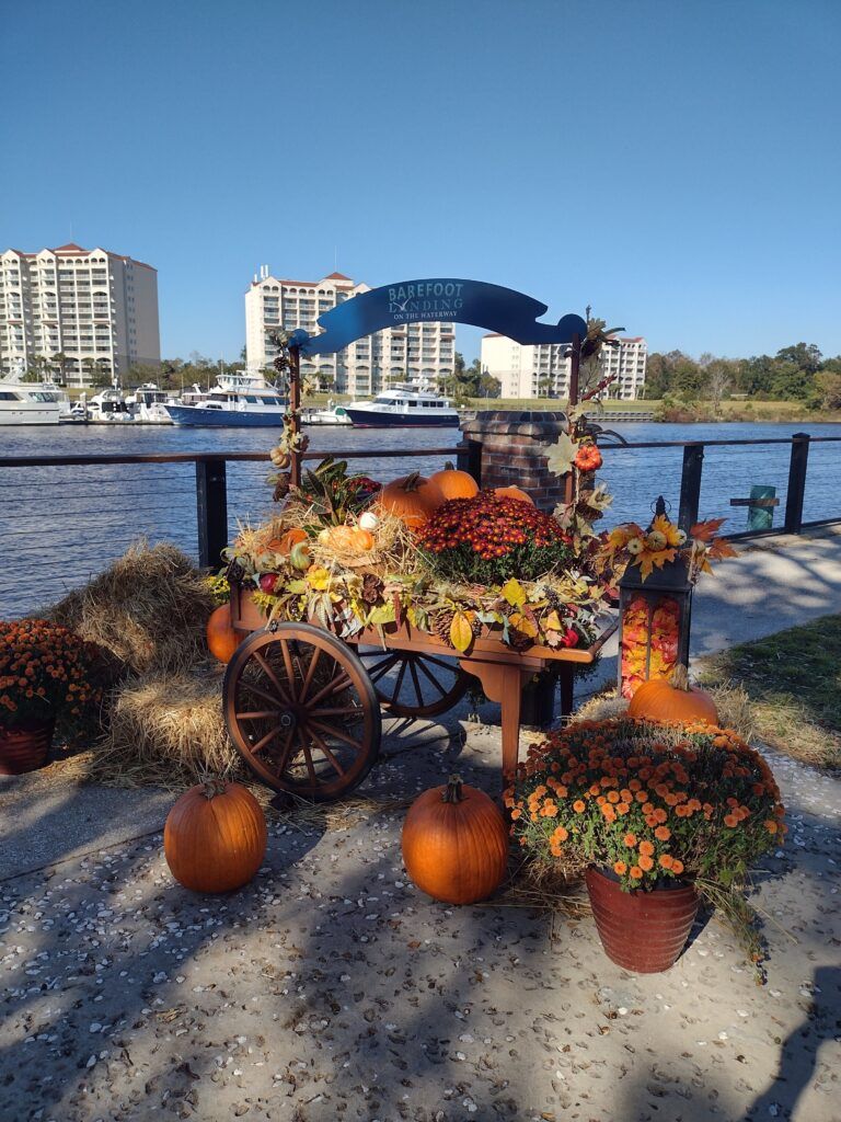 barefoot-landing-002