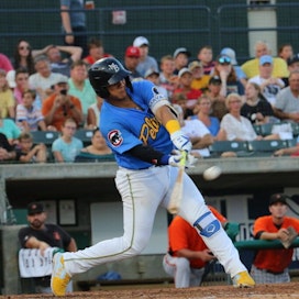 Myrtle Beach Pelicans Baseball