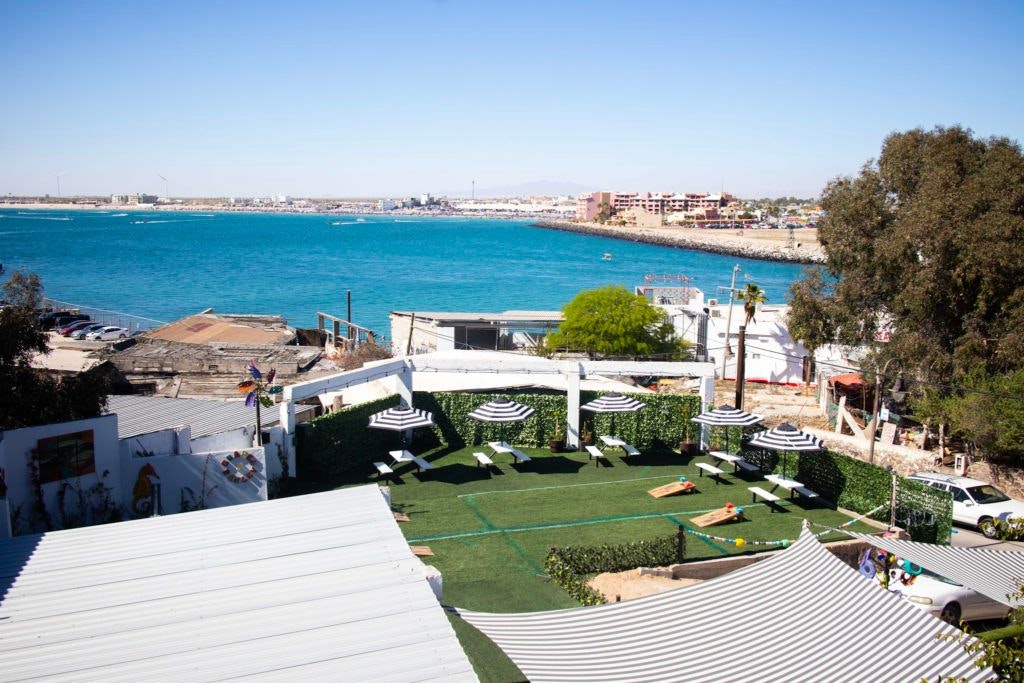 grapes-and-barley-027