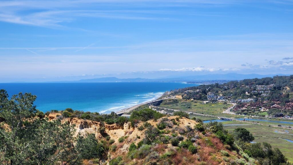 torrey-pines-state-natural-reserve-003