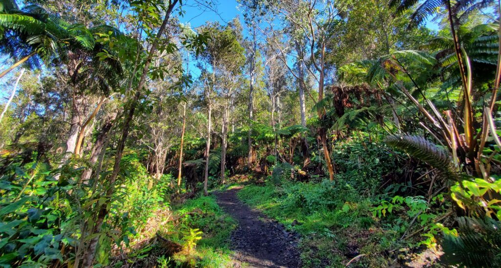 Makahi St Trailhead