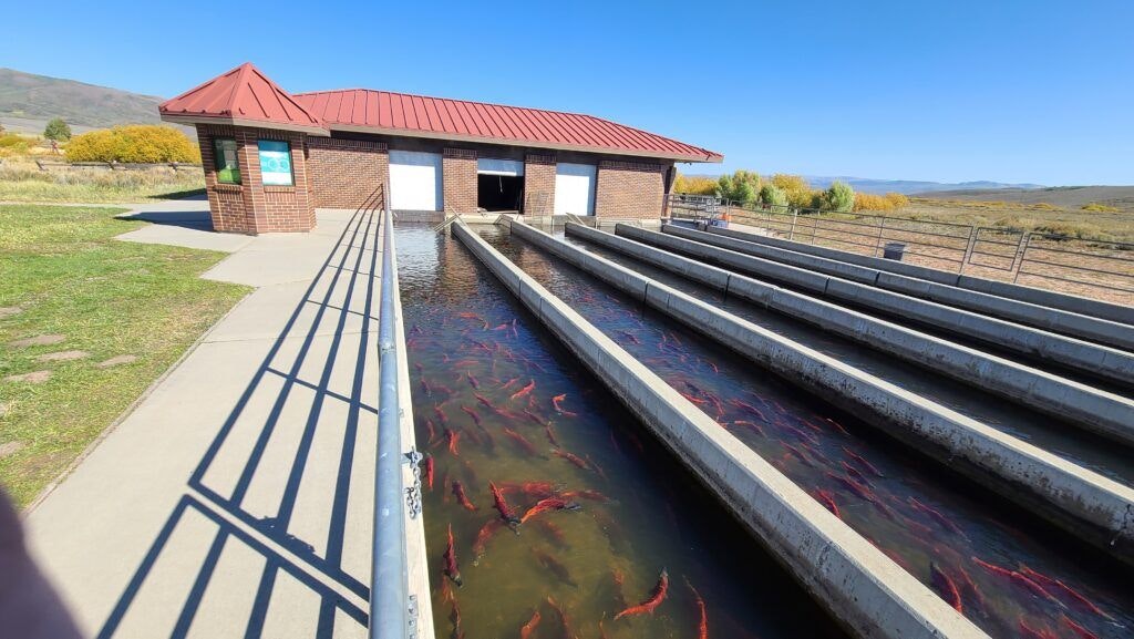 strawberry-reservoir-visitors-center-003