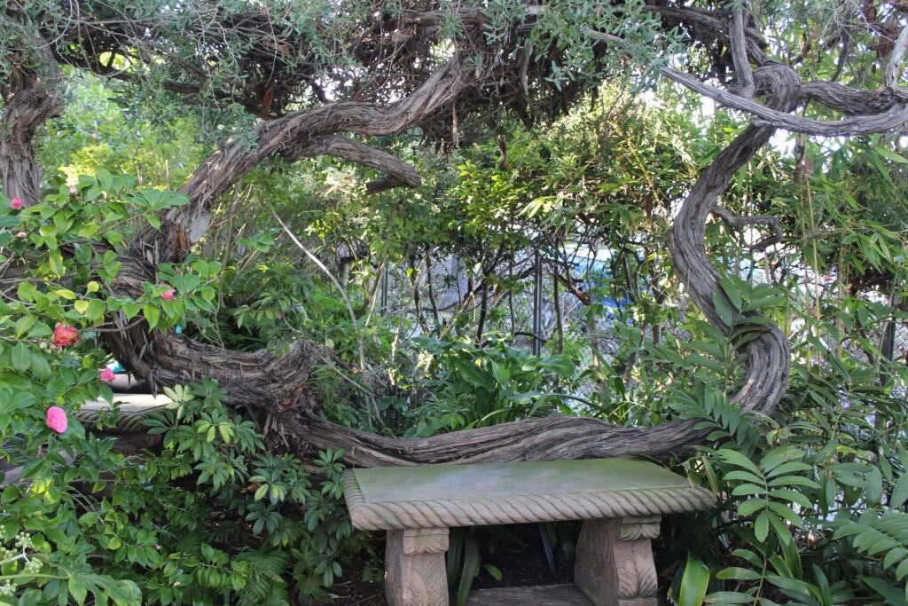 self-realization-fellowship-meditation-gardens-002