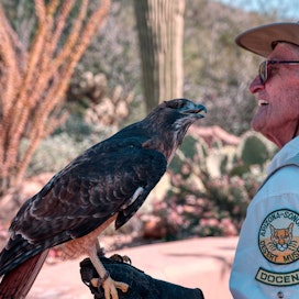 Unique Places to Visit and Points of Interest in Tucson, Arizona