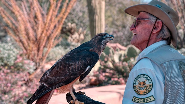 Unique Places to Visit and Points of Interest in Tucson, Arizona