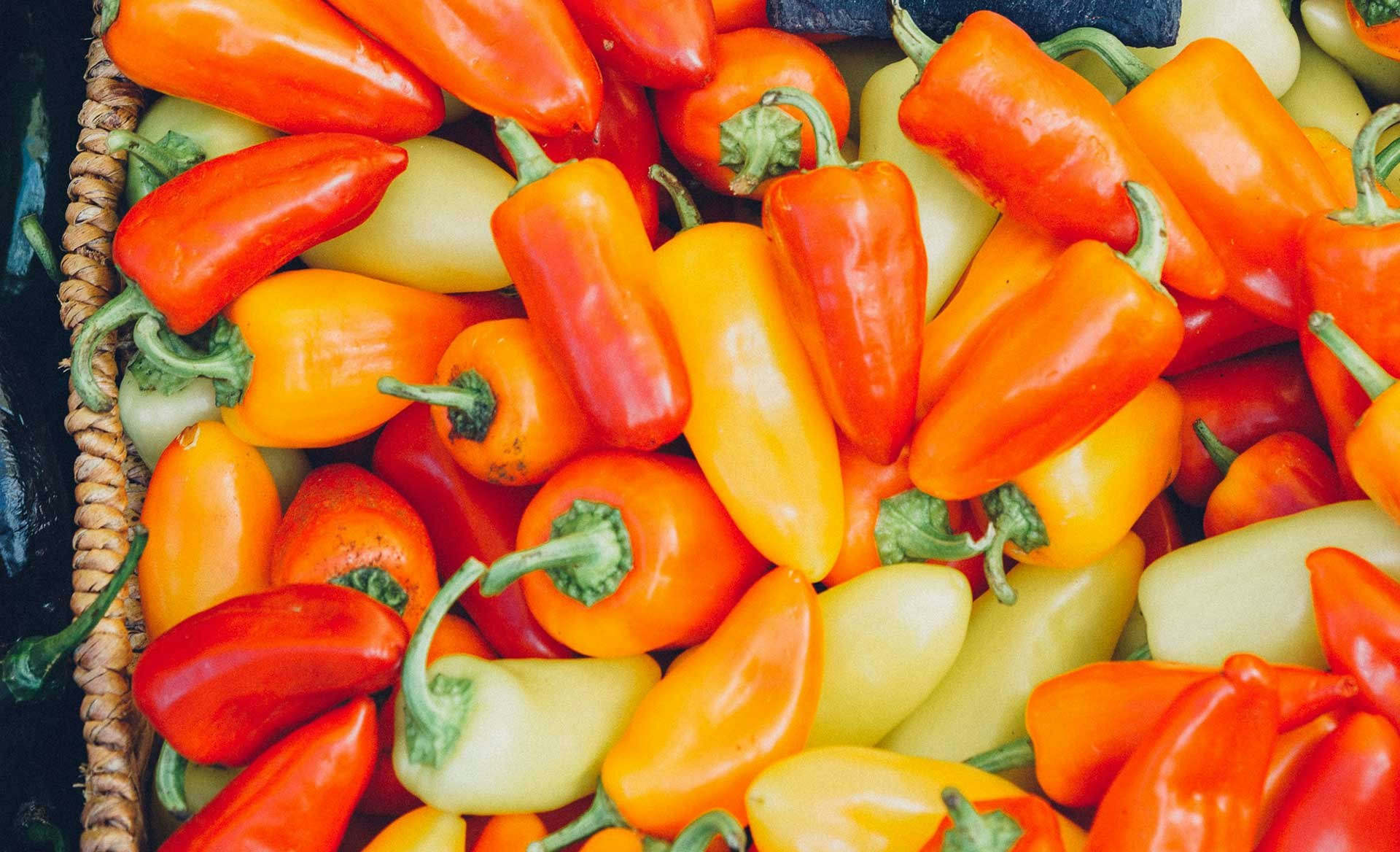 Unique Things to do in Tucson