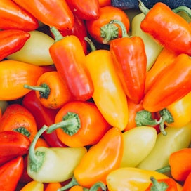 Unique Things to do in Tucson