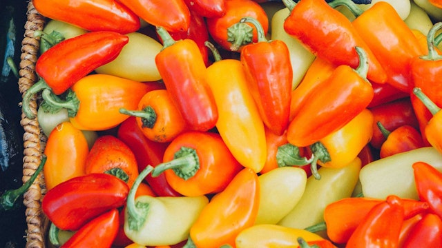 Unique Things to do in Tucson