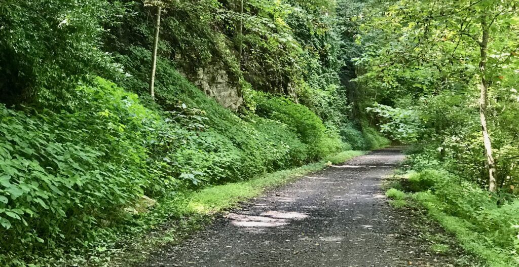 new-river-trail-state-park-003