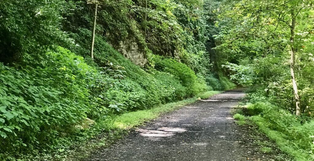 new-river-trail-state-park-003