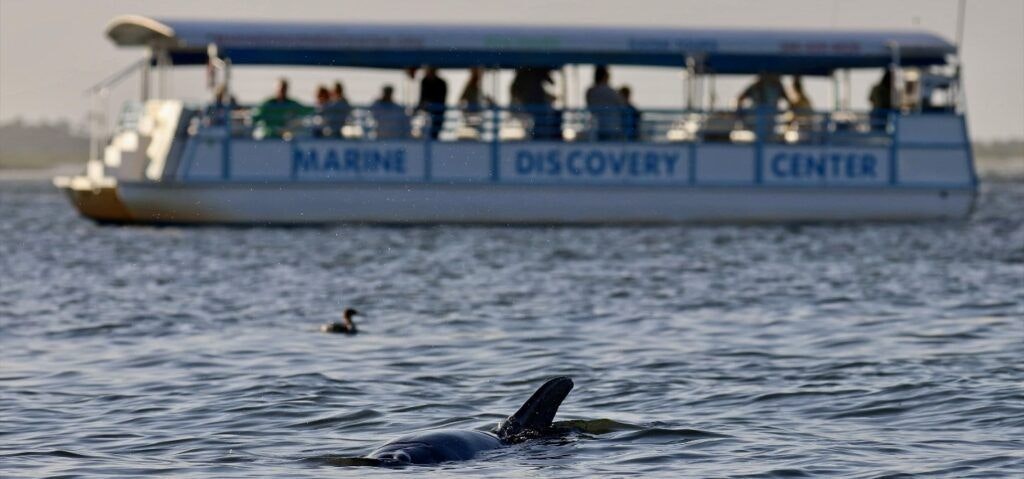 marine-discovery-center-002