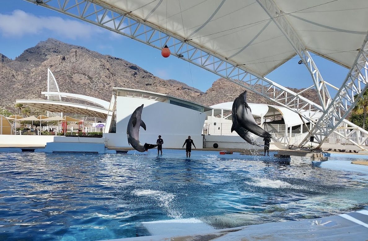 Sonora Dolphinarium