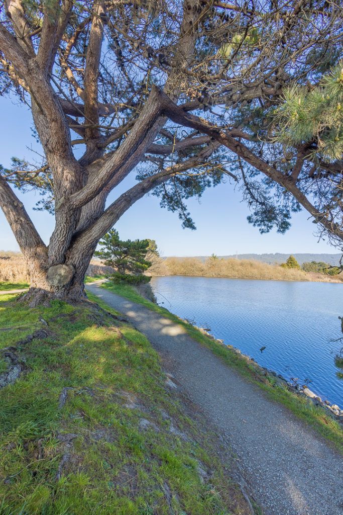 Arcata Marsh & Wildlife Sanctuary