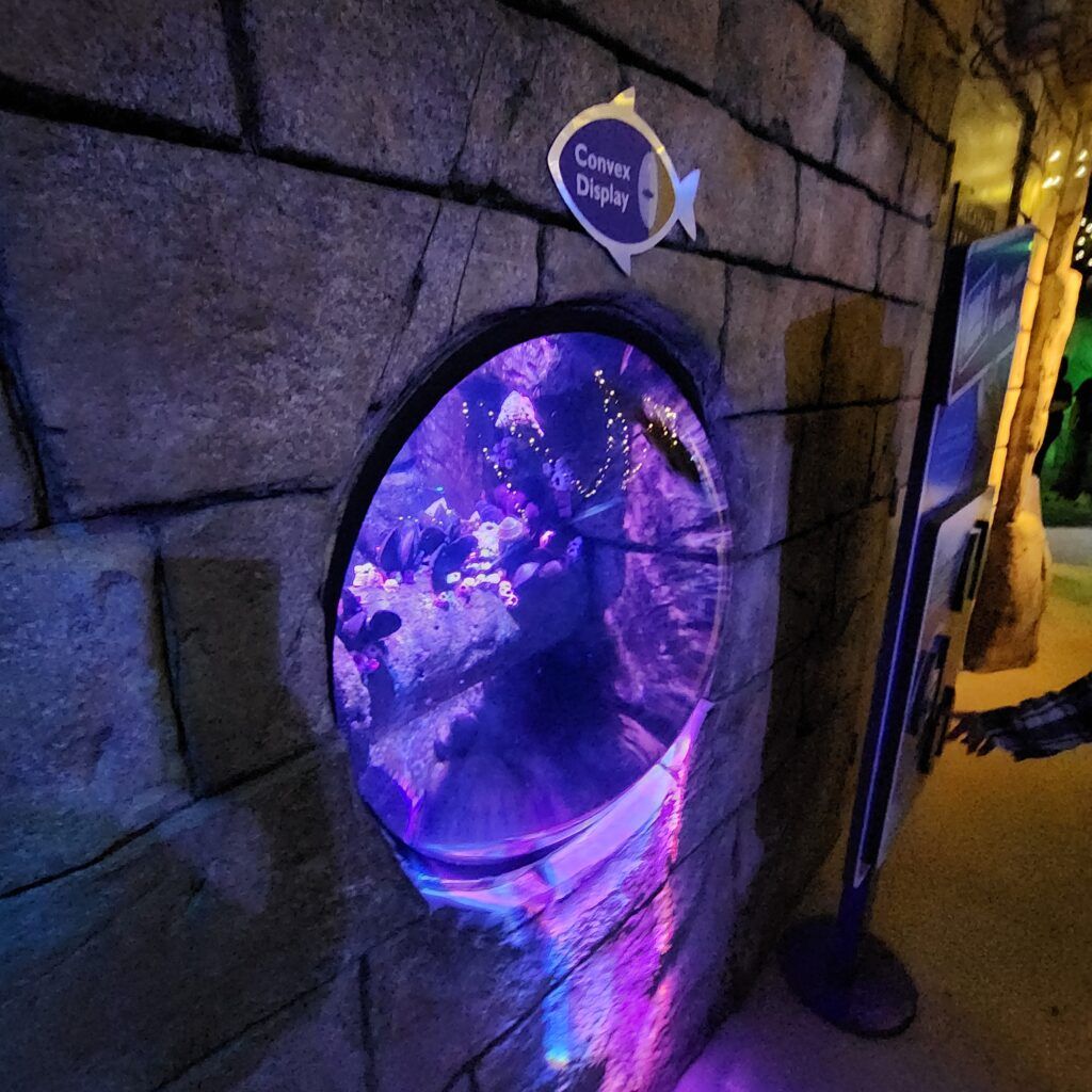 sea-life-aquarium-021