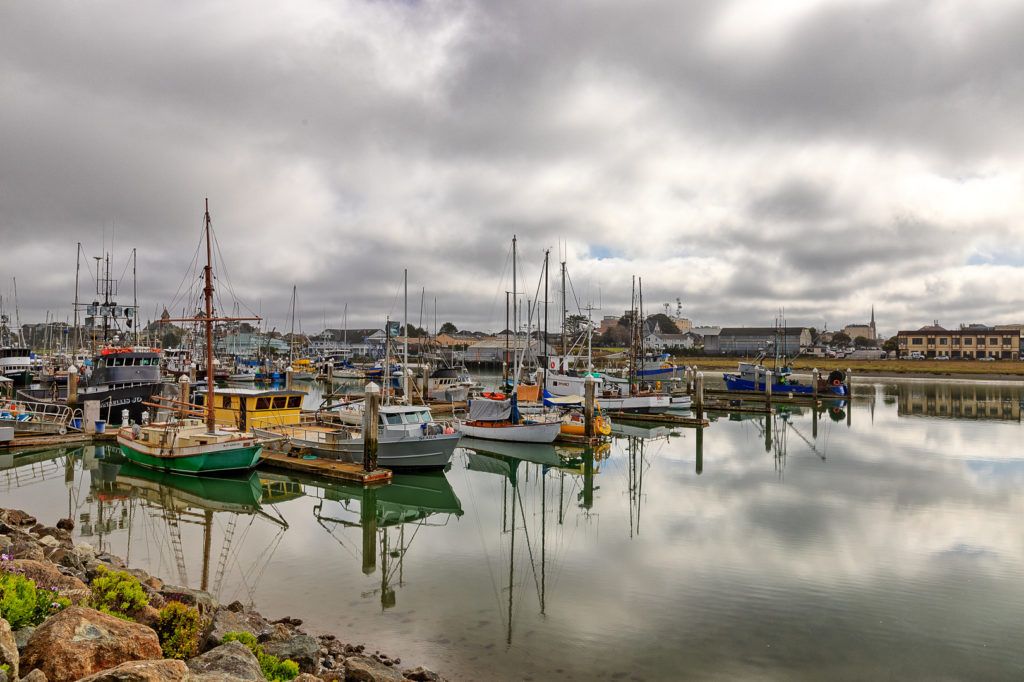 woodley-island-marina-012