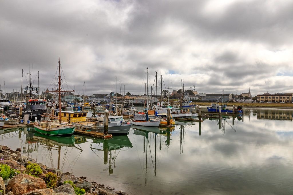 woodley-island-marina-012