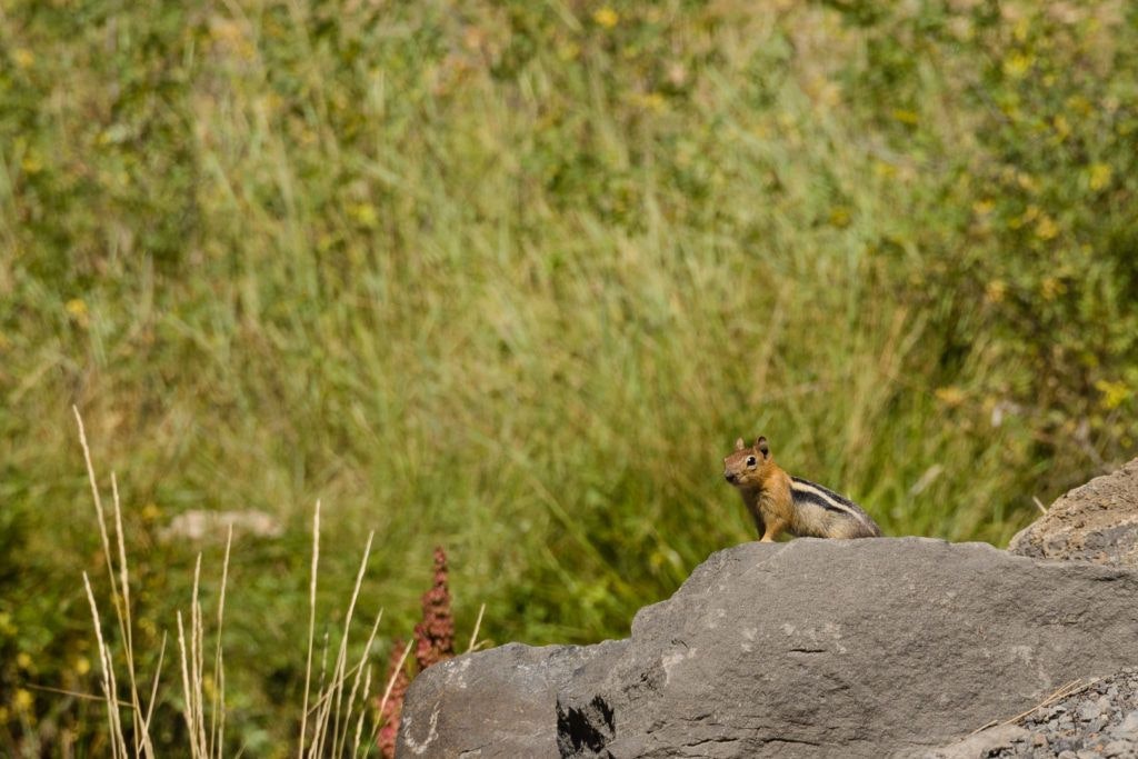 natural-water-slides-hike-and-paulina-plunge-tour-031