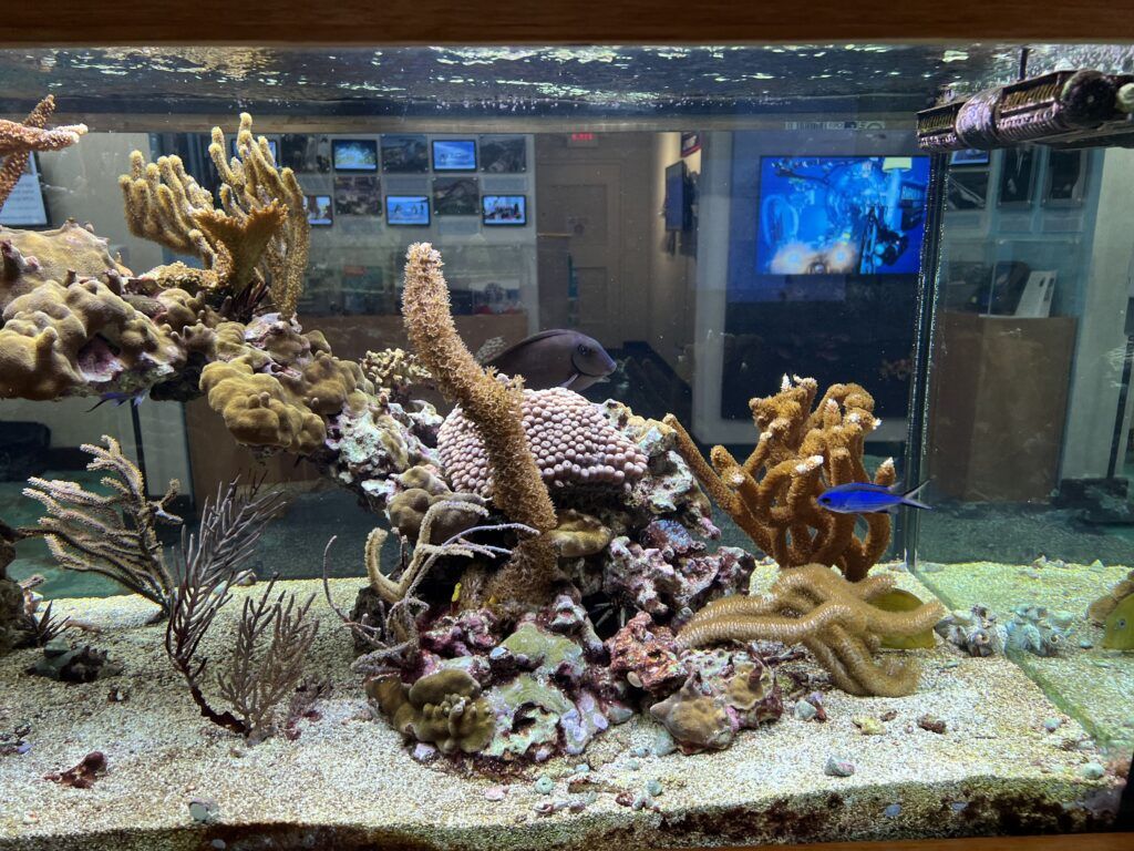 fau-harbor-branch-ocean-discovery-visitors-center-003