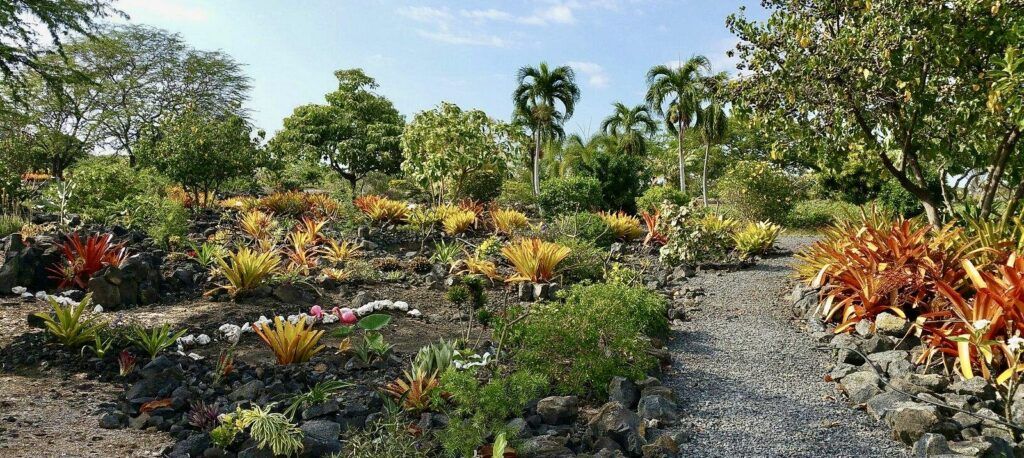 maka-eo-walking-path-002