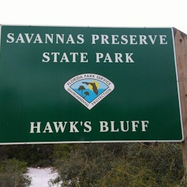 Savannas Preserve State Park - Hawk's Bluff Trail