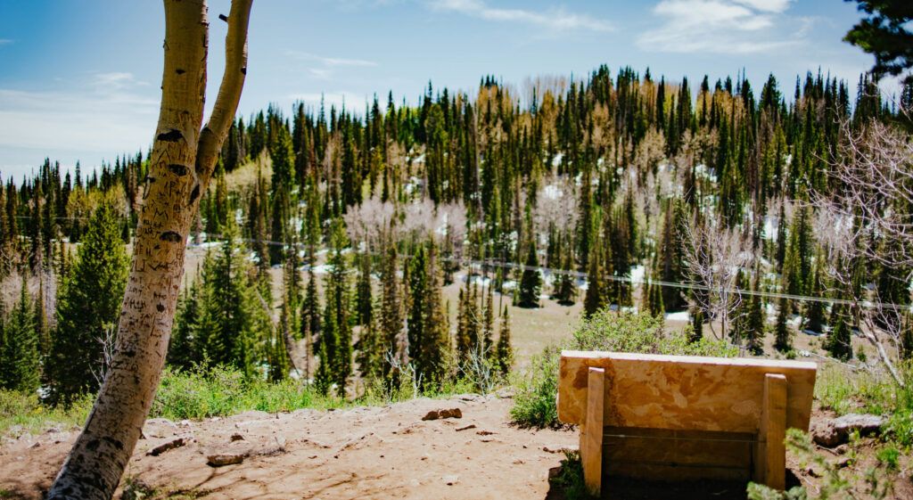 bloods-lake-trail-004