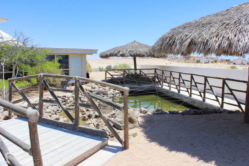 cedo-intercultural-center-for-the-study-of-deserts-and-oceans-022