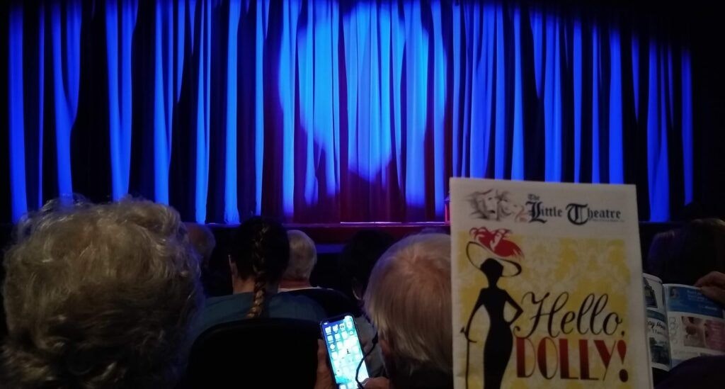 the-little-theater-nsb-002