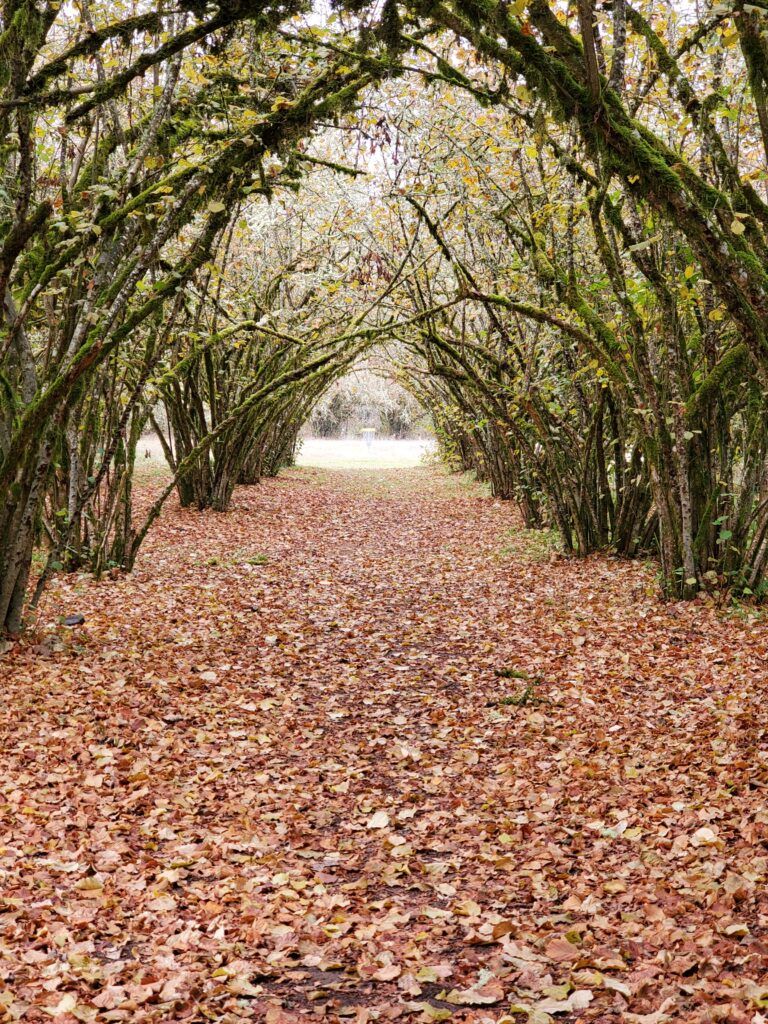 willamette-mission-state-park-004