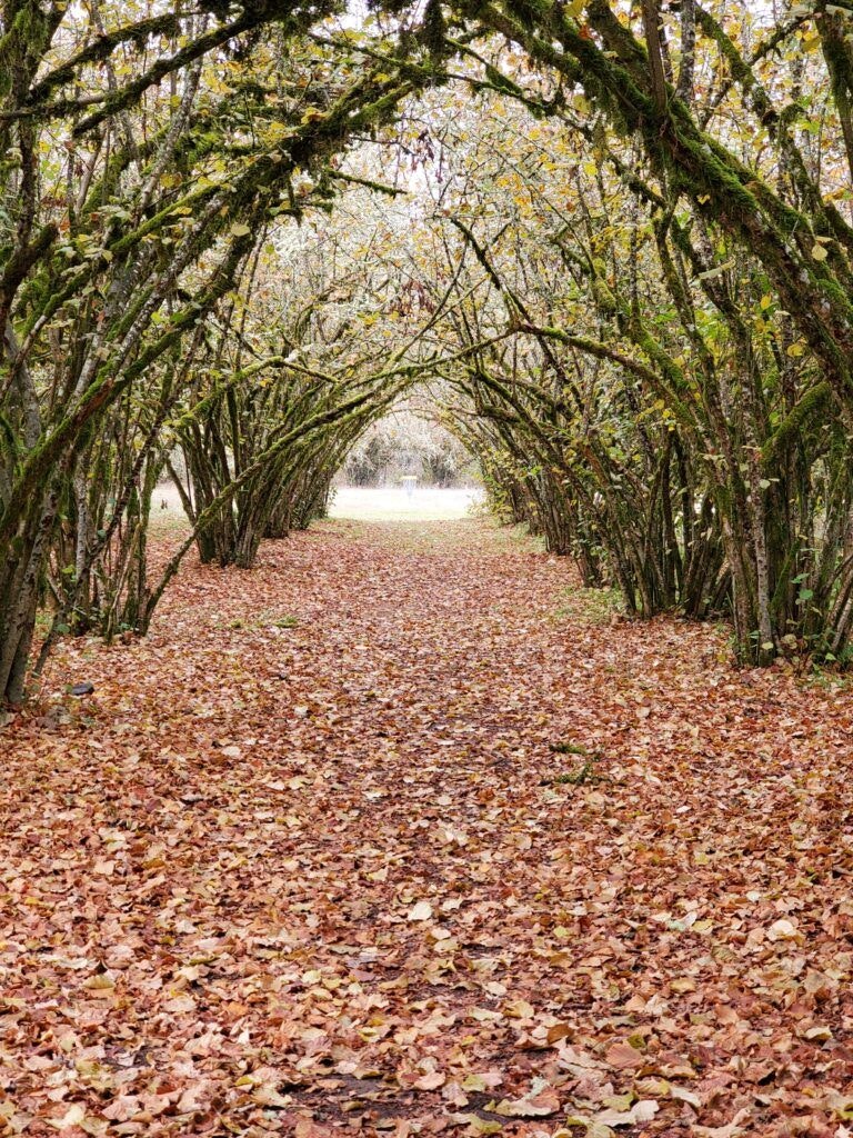 willamette-mission-state-park-004