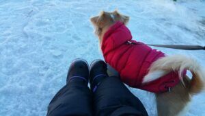 tahoe-city-winter-sports-park-002