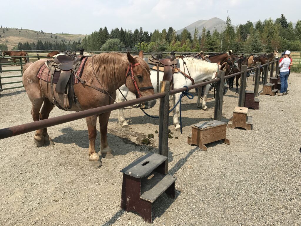 sun-valley-stables-003