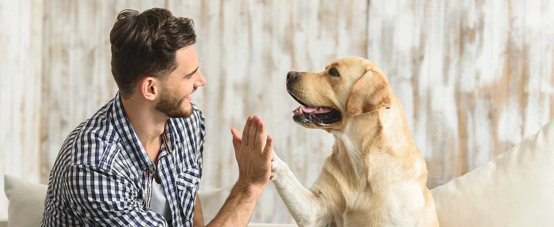 riviera-nayarit-TI-3-001