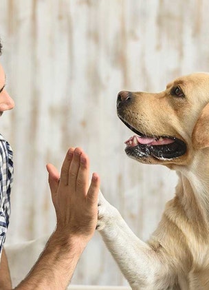 riviera-nayarit-TI-3-001