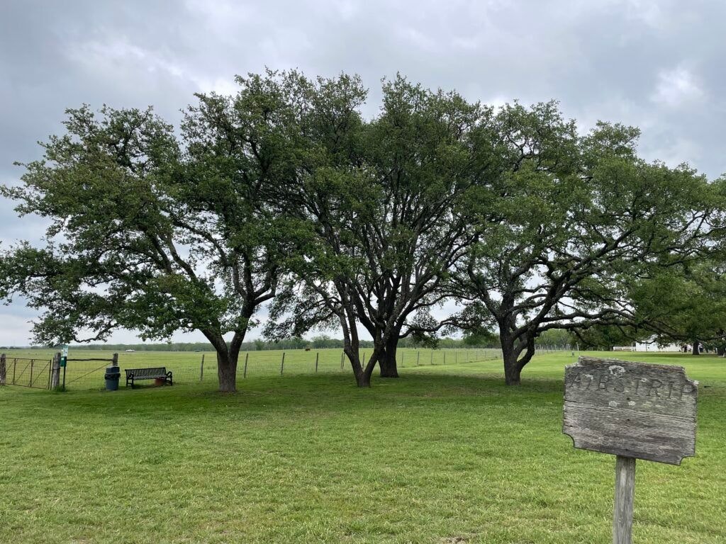 lyndon-b-johnson-national-historical-park-visitor-center-and-park-headquarters-005