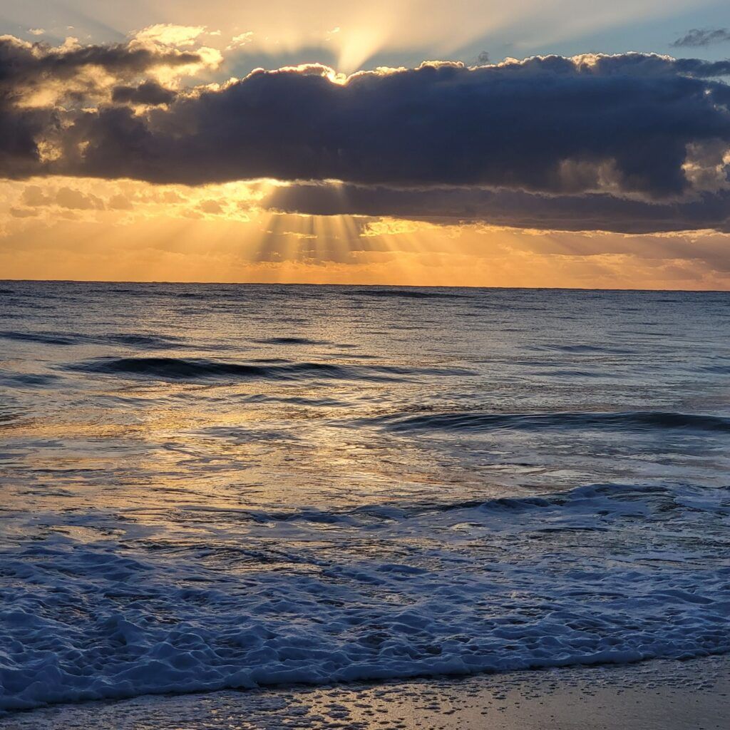 treasure-shores-park-002