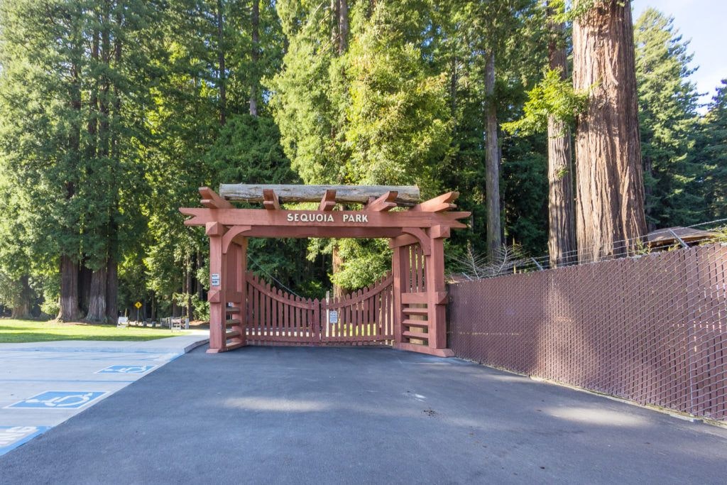 sequoia-park-garden-004