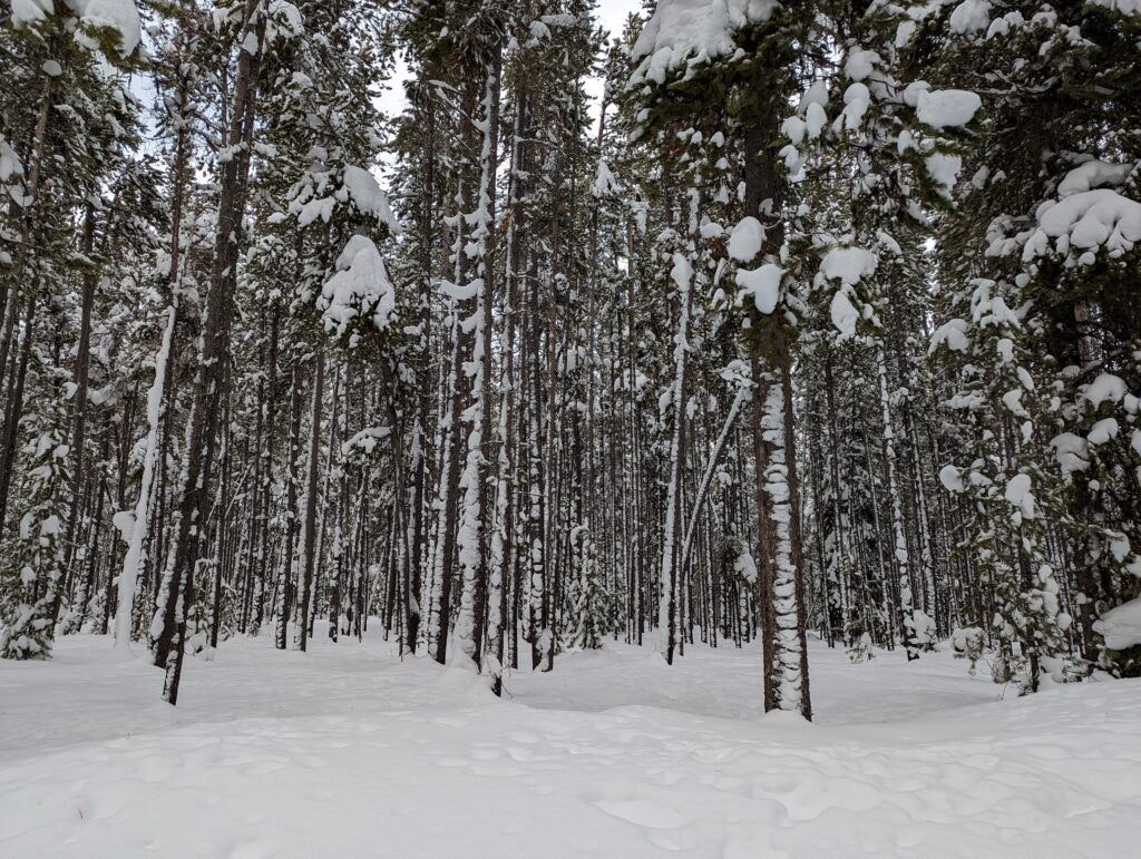 rendezvous-ski-trails-002